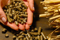 free Road Green biomass boiler quotes
